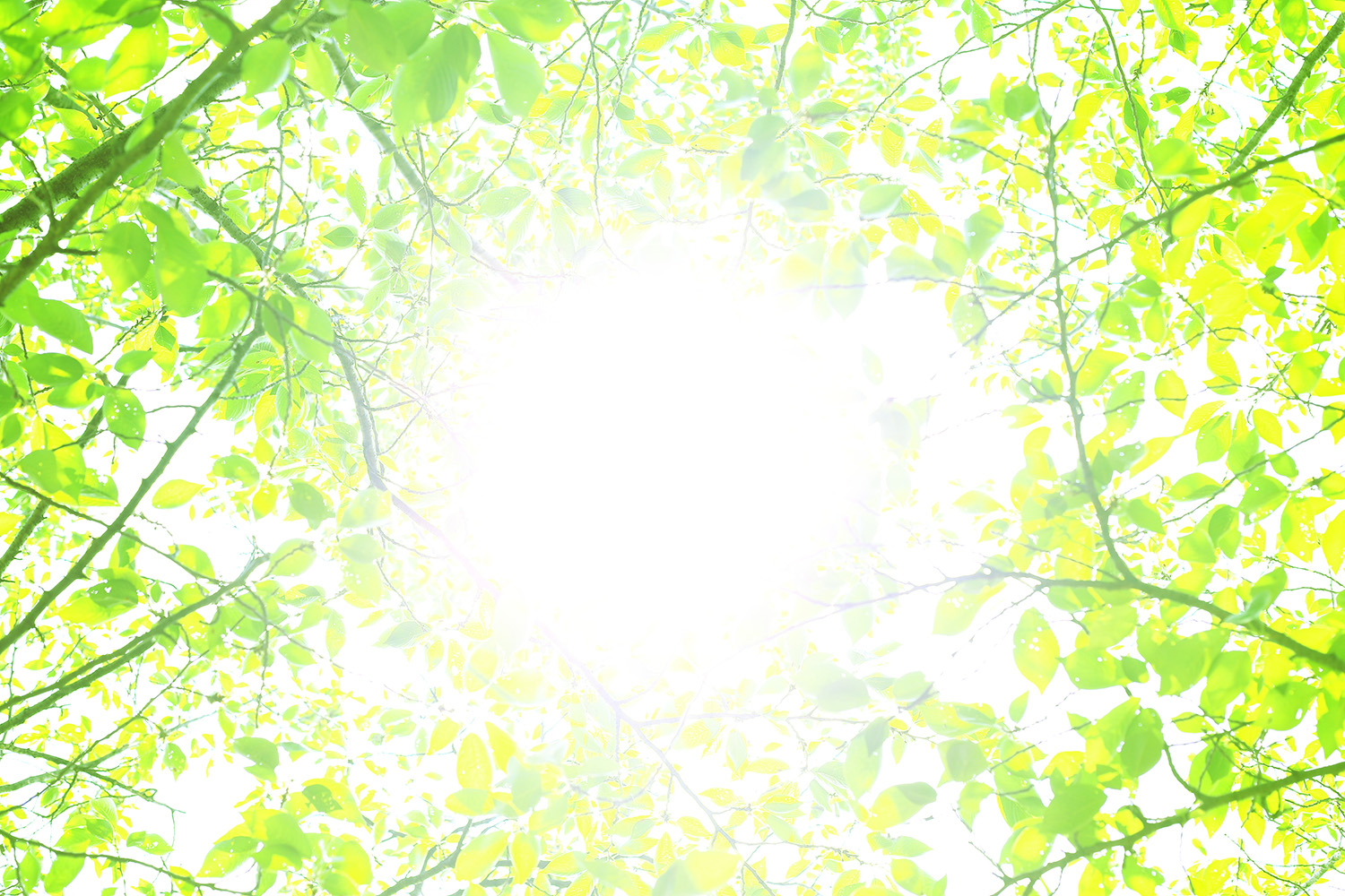 スピリチュアルスペース&フットセラピー　悠真